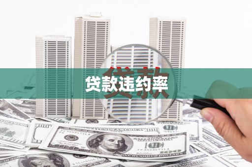 汉台贷款违约率