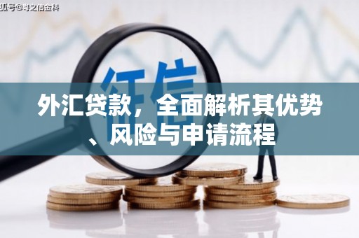 汉台外汇贷款，全面解析其优势、风险与申请流程