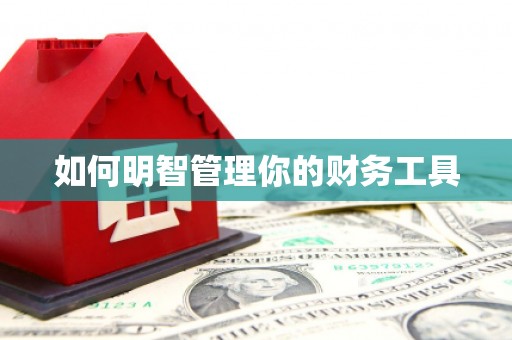 汉台如何明智管理你的财务工具
