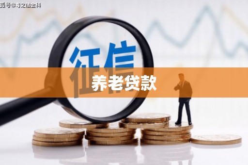 汉台养老贷款