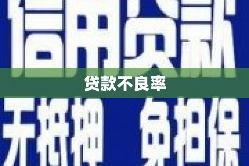 汉台贷款不良率