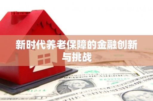 汉台新时代养老保障的金融创新与挑战