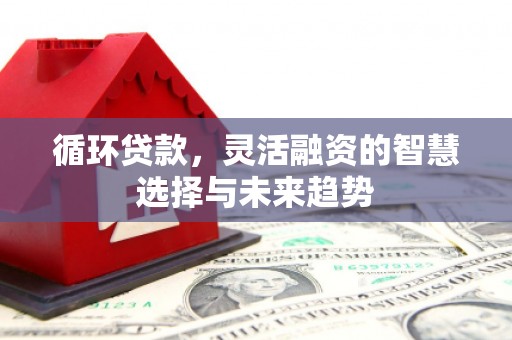 汉台循环贷款，灵活融资的智慧选择与未来趋势