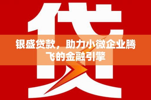 汉台银盛贷款，助力小微企业腾飞的金融引擎
