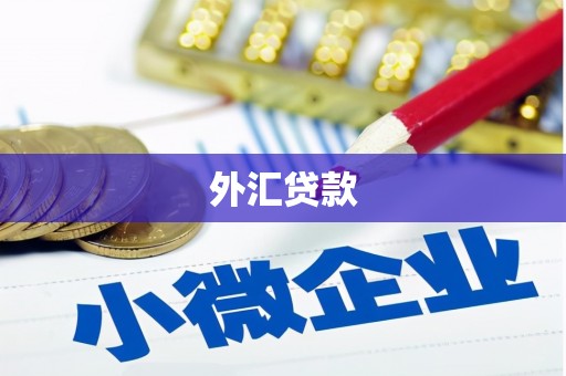 汉台外汇贷款