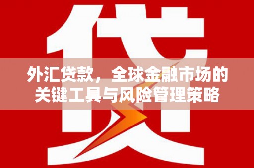 汉台外汇贷款，全球金融市场的关键工具与风险管理策略