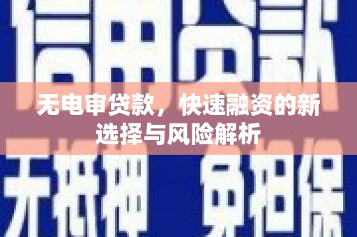 汉台无电审贷款，快速融资的新选择与风险解析
