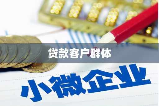汉台贷款客户群体