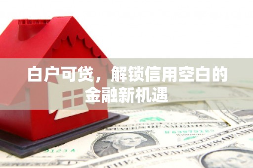 汉台白户可贷，解锁信用空白的金融新机遇