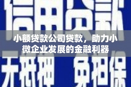 汉台小额贷款公司贷款，助力小微企业发展的金融利器