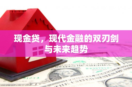 汉台现金贷，现代金融的双刃剑与未来趋势