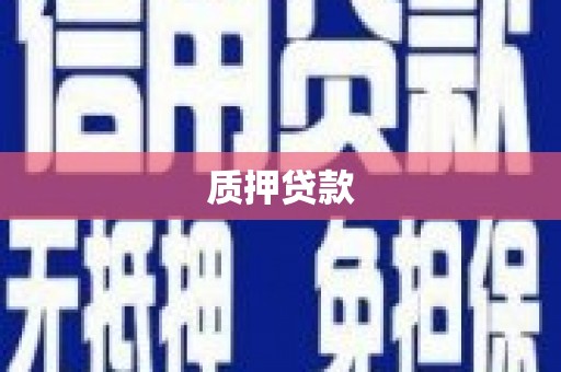 汉台质押贷款