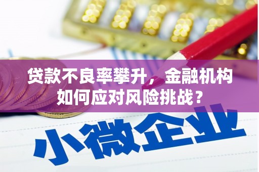 汉台贷款不良率攀升，金融机构如何应对风险挑战？