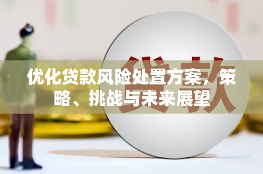 汉台优化贷款风险处置方案，策略、挑战与未来展望