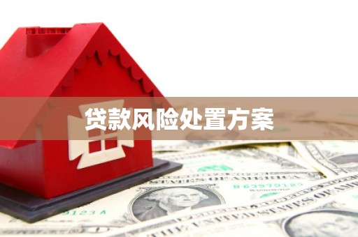 汉台贷款风险处置方案