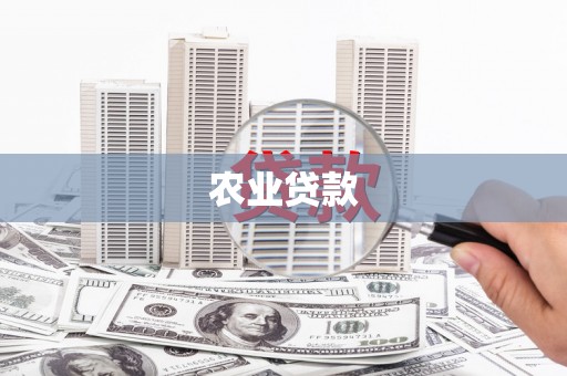 汉台农业贷款