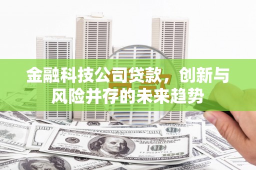 汉台金融科技公司贷款，创新与风险并存的未来趋势