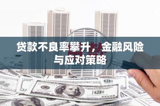 汉台贷款不良率攀升，金融风险与应对策略