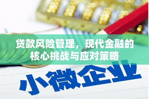 汉台贷款风险管理，现代金融的核心挑战与应对策略