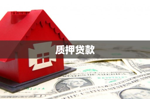 汉台质押贷款