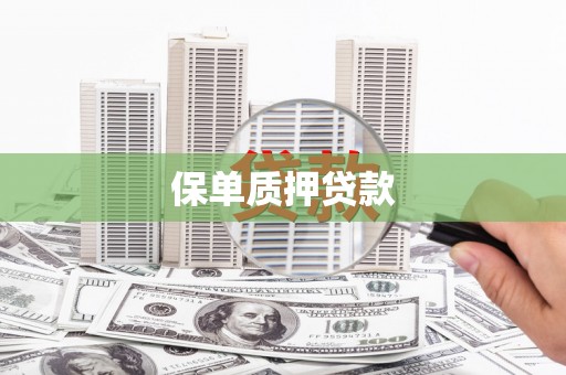 汉台保单质押贷款