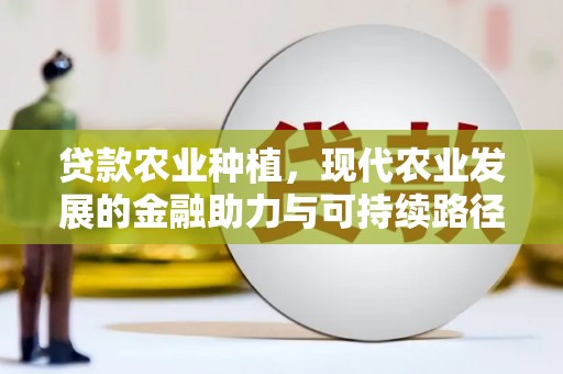汉台贷款农业种植，现代农业发展的金融助力与可持续路径
