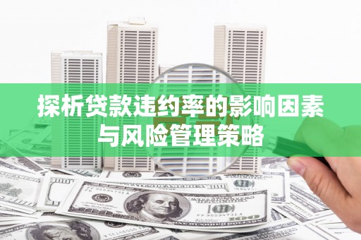 汉台探析贷款违约率的影响因素与风险管理策略