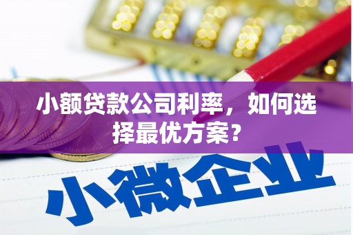 汉台小额贷款公司利率，如何选择最优方案？