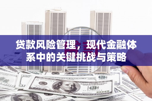 汉台贷款风险管理，现代金融体系中的关键挑战与策略