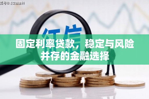 汉台固定利率贷款，稳定与风险并存的金融选择