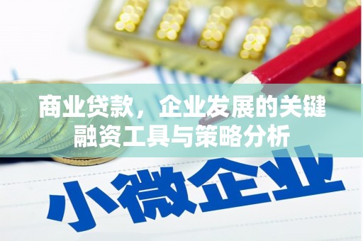 汉台商业贷款，企业发展的关键融资工具与策略分析