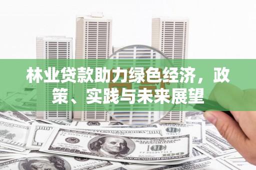 汉台林业贷款助力绿色经济，政策、实践与未来展望