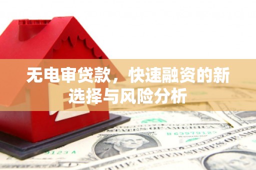 汉台无电审贷款，快速融资的新选择与风险分析