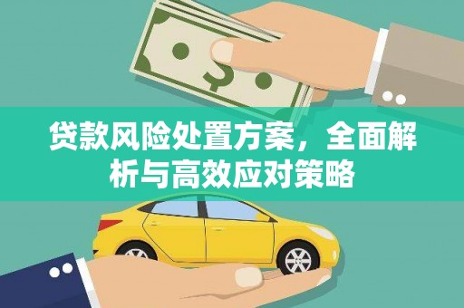 汉台贷款风险处置方案，全面解析与高效应对策略