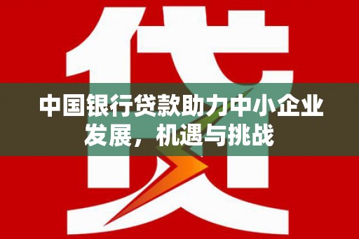 汉台中国银行贷款助力中小企业发展，机遇与挑战