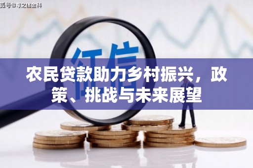 汉台农民贷款助力乡村振兴，政策、挑战与未来展望