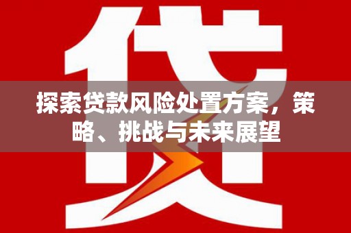 汉台探索贷款风险处置方案，策略、挑战与未来展望