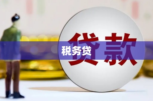 汉台税务贷