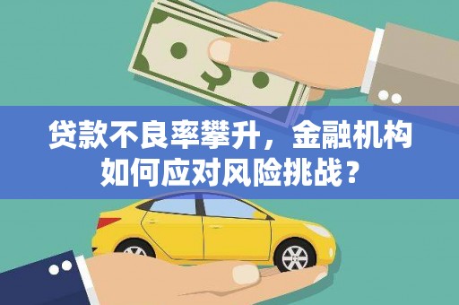 汉台贷款不良率攀升，金融机构如何应对风险挑战？