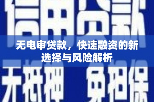 汉台无电审贷款，快速融资的新选择与风险解析