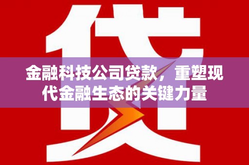 汉台金融科技公司贷款，重塑现代金融生态的关键力量