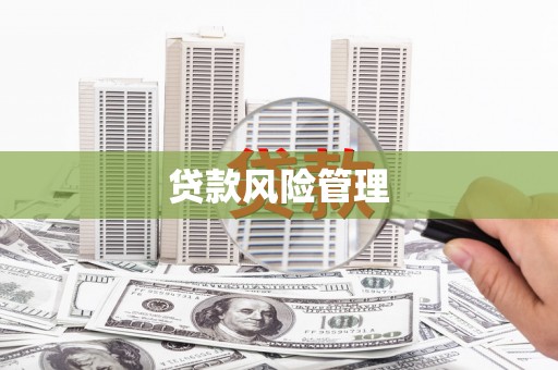 汉台贷款风险管理