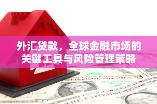 汉台外汇贷款，全球金融市场的关键工具与风险管理策略