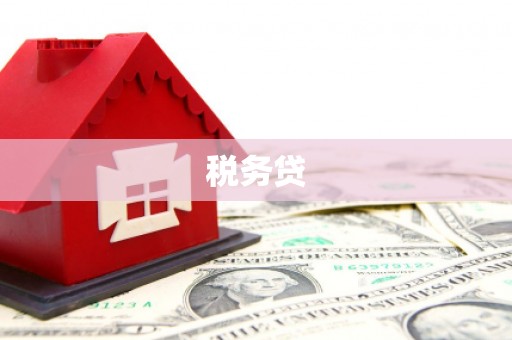 汉台税务贷