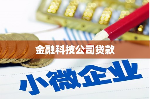 汉台金融科技公司贷款