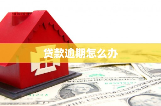 汉台贷款逾期怎么办