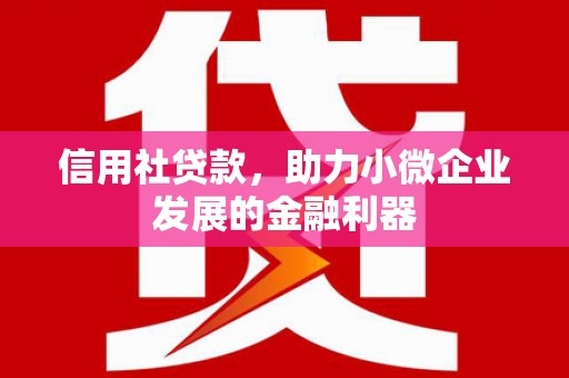 汉台信用社贷款，助力小微企业发展的金融利器