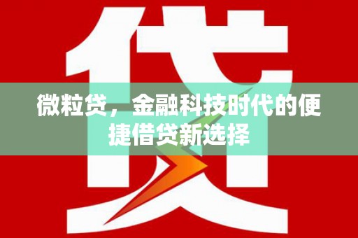 汉台微粒贷，金融科技时代的便捷借贷新选择
