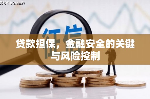 汉台贷款担保，金融安全的关键与风险控制