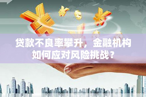 汉台贷款不良率攀升，金融机构如何应对风险挑战？